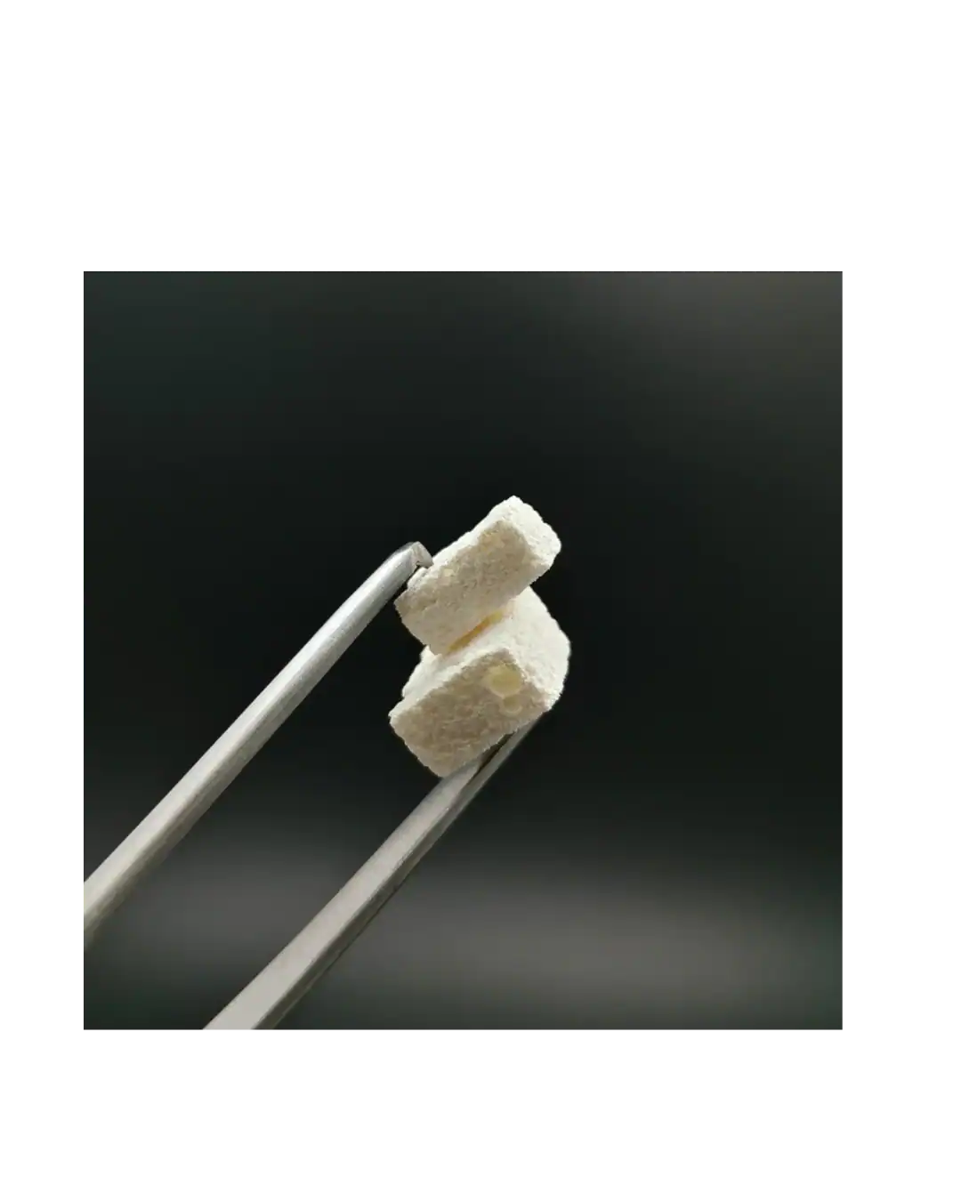 Fix Oss Block Spongious Bone Block Fix Oss Block Spongious Bone Block