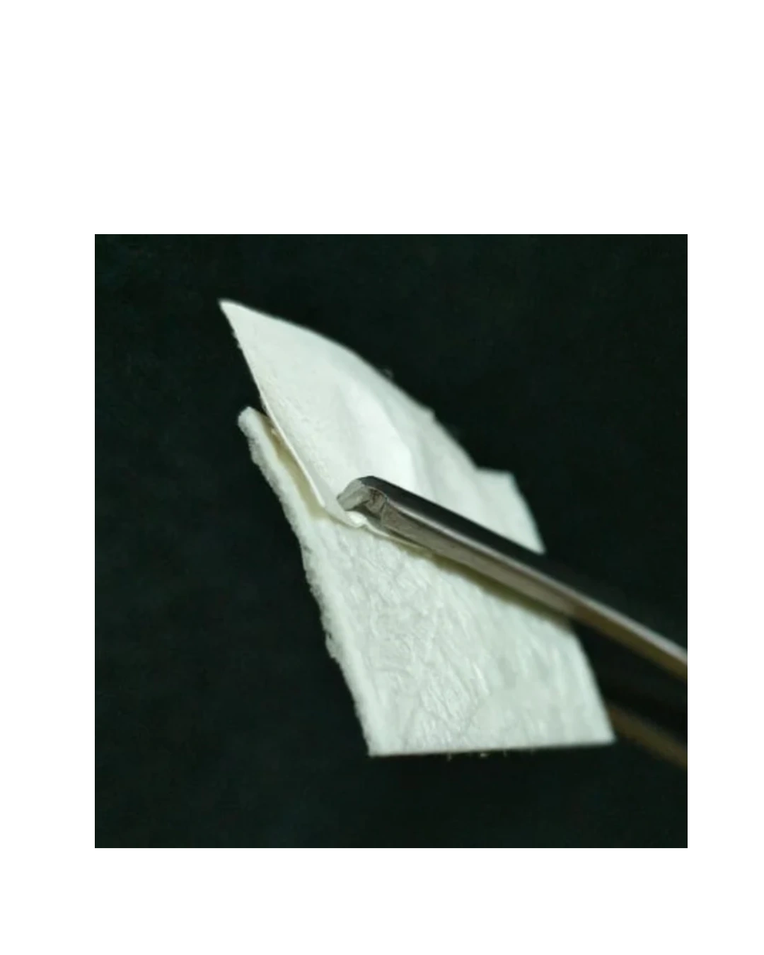 Fix Gide Gtr Membrane | Sterile resorbable Collagen membrane Fix Gide Gtr Membrane | Sterile resorbable Collagen membrane