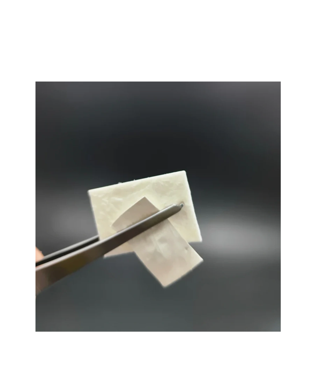 Fix Gide Gtr Membrane | Sterile resorbable Collagen membrane Fix Gide Gtr Membrane | Sterile resorbable Collagen membrane